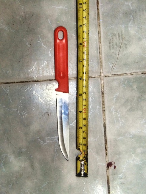 Tội ác khó dung thứ của kẻ giết cha rồi gọi điện thông báo cho mẹ - ảnh 2