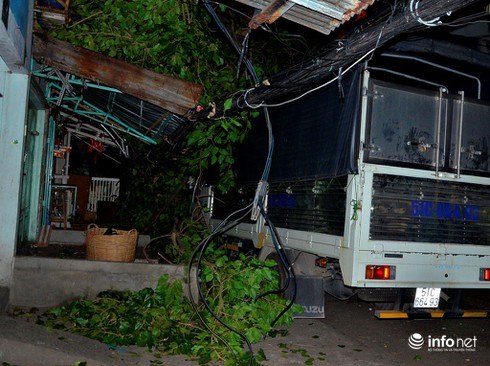 3 anh em ruột thoát chết khi cây bồ đề bật gốc đè bẹp 1 xe máy và xe tải - ảnh 3