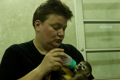 Người dân giao nộp 2 linh trưởng nguy cấp - ảnh 2