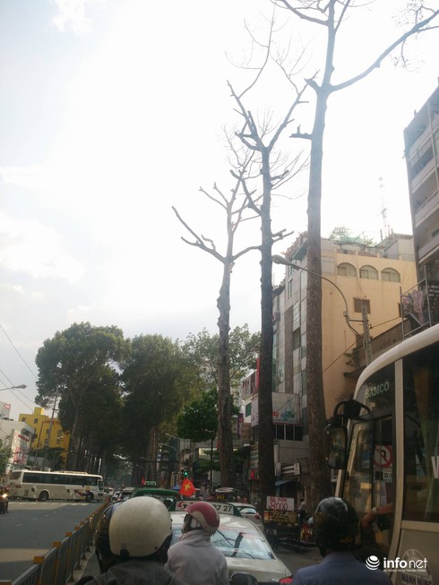 Chuyên gia