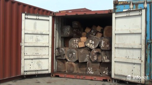 Bắt hơn 2 tấn ngà voi có giá trị hàng trăm tỷ đồng - ảnh 3