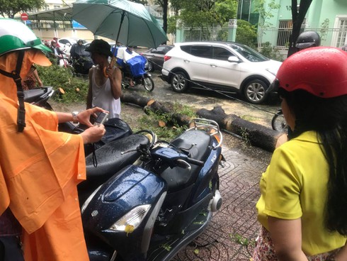 TP.HCM: Cây xanh bật gốc trong mưa, đè trúng người đi xe máy - ảnh 2