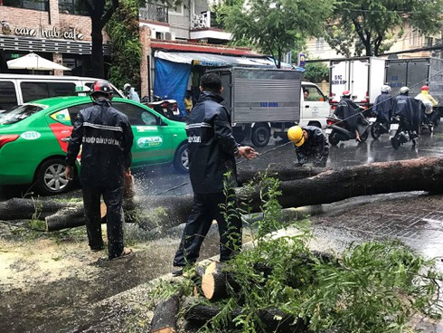 TP.HCM: Cây xanh bật gốc trong mưa, đè trúng người đi xe máy - ảnh 3