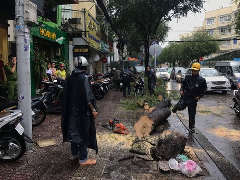 TP.HCM: Cây xanh bật gốc trong mưa, đè trúng người đi xe máy - ảnh 4