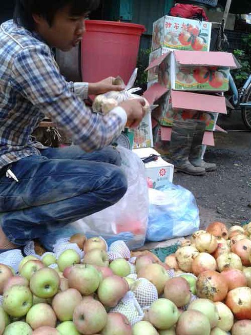 Kinh doanh hoa quả Trung Quốc đánh lừa người tiêu dùng - ảnh 1