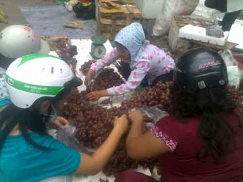 Kinh doanh hoa quả Trung Quốc đánh lừa người tiêu dùng - ảnh 2