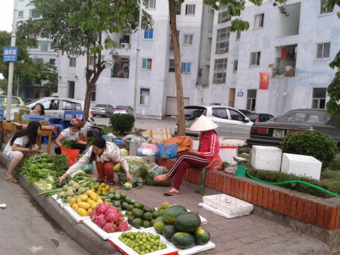 Nhếch nhác, bẩn thỉu những khu tái định cư - ảnh 8