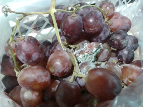 Sản phẩm gây phản cảm, chướng mắt tại BigC - ảnh 1