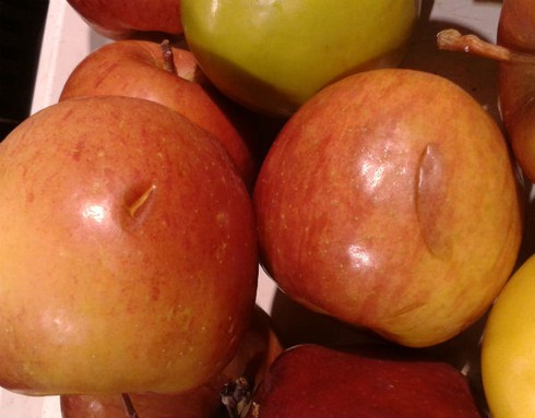 Sản phẩm gây phản cảm, chướng mắt tại BigC - ảnh 5