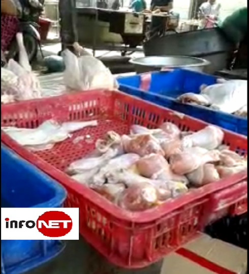 Thịt gà ươn chảy để cả năm vẫn đắt hàng - ảnh 1