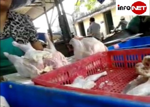 Thịt gà ươn chảy để cả năm vẫn đắt hàng - ảnh 2