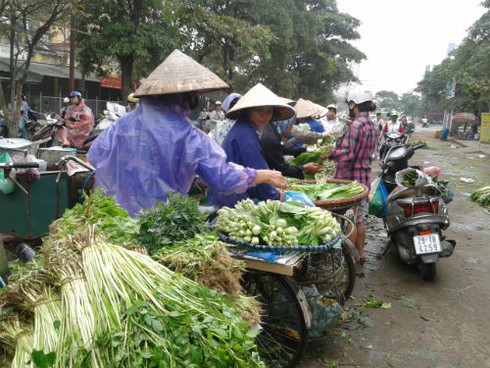 Chủ vườn bán tháo 1000 đồng/kg, chợ lẻ đội giá sau bão Haiyan - ảnh 1