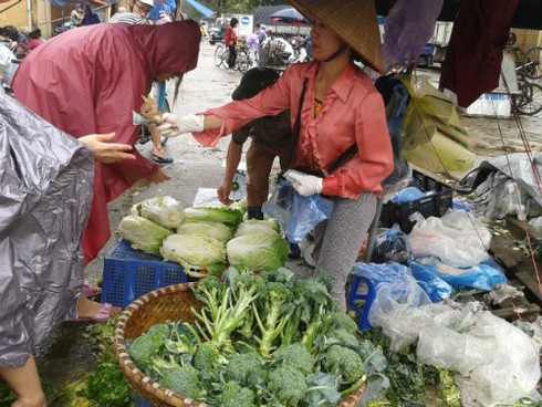 Chủ vườn bán tháo 1000 đồng/kg, chợ lẻ đội giá sau bão Haiyan - ảnh 8