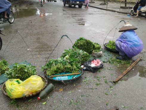 Chủ vườn bán tháo 1000 đồng/kg, chợ lẻ đội giá sau bão Haiyan - ảnh 2