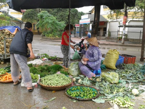 Chủ vườn bán tháo 1000 đồng/kg, chợ lẻ đội giá sau bão Haiyan - ảnh 3