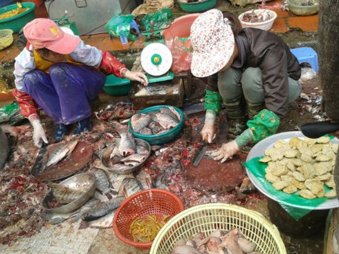 Hãi hùng chợ đầu mối cá, thịt rẻ ở Hà Nội - ảnh 1