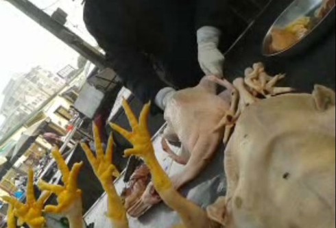 Hãi hùng chợ đầu mối cá, thịt rẻ ở Hà Nội - ảnh 2