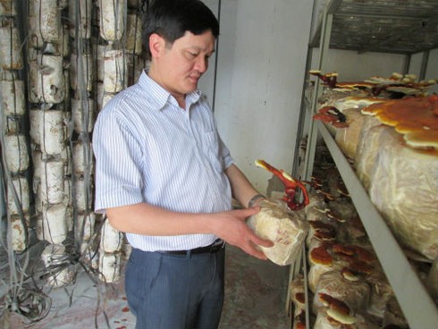 Xuất hiện thông tin sai hoàn toàn về nấm ăn Việt - ảnh 2