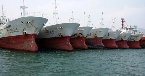 Ngàn tỷ nhập tàu cá đồng nát: Khai khống để vay vốn rẻ? - ảnh 2