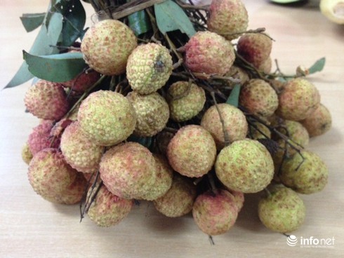 Vải thiều “xịn” chưa về Hà Nội - ảnh 1