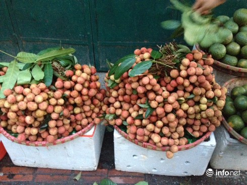 Vải thiều “xịn” chưa về Hà Nội - ảnh 2