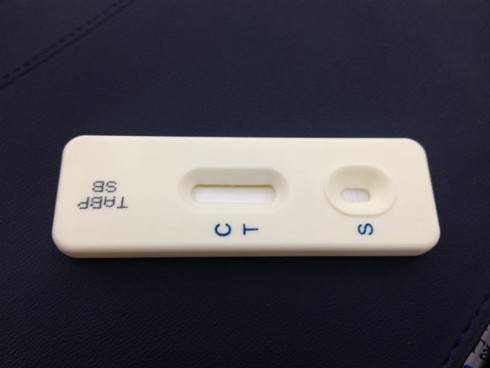 Dùng hóa chất gây ung thư để nuôi gà vàng đẹp - ảnh 2