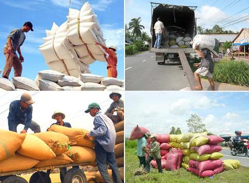 Việt Nam nhập siêu 32,3 tỷ USD từ Trung Quốc - ảnh 1