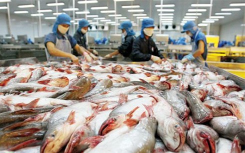 Tin vui cho cá da trơn Việt Nam - ảnh 1