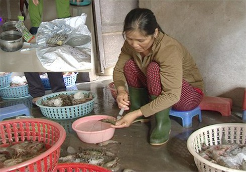 Bơm tạp chất, cắm tăm... cho tôm xuất ngoại: Bán rẻ khách vẫn bỏ chạy - ảnh 1