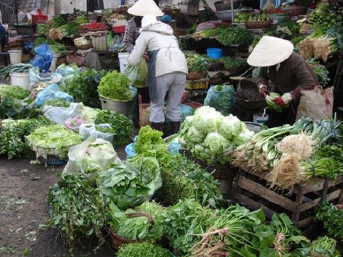 Hải sản đứng đầu bảng về chứa chất cấm, kháng sinh - ảnh 1
