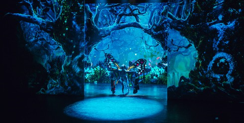 Chung kết Hoa hậu Bản sắc Việt 2016: Đêm hội nhan sắc Việt toàn cầu - ảnh 10