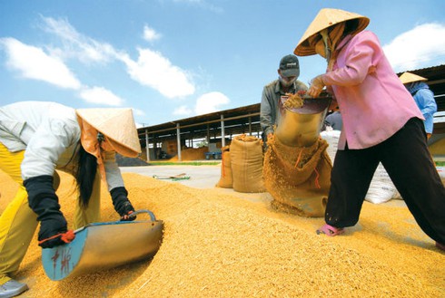 ADB: Nông nghiệp sụt giảm kéo tăng trưởng kinh tế Việt Nam xuống 6% - ảnh 1