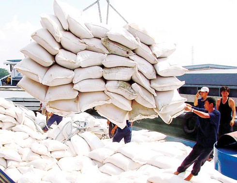 Việt Nam sẽ xuất khẩu sang Philippin 1,5 triệu tấn gạo mỗi năm - ảnh 1