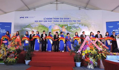 Chính thức vận hành nhà máy trứng gà sạch hơn 800 tỷ đồng - ảnh 1