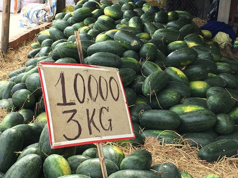 Thịt rẻ hơn rau, hoa quả cho bò ăn: Giải cứu đến bao giờ? - ảnh 1