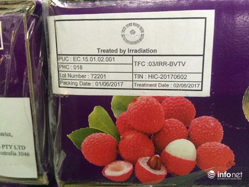 Cận cảnh chiếu xạ vải thiều Thanh Hà xuất đi Úc cực nghiêm ngặt - ảnh 6