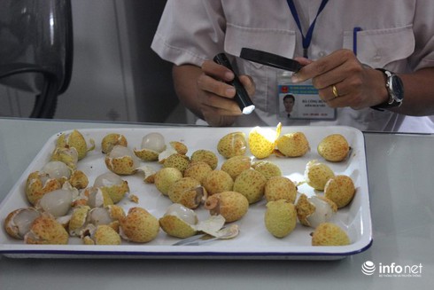 Cận cảnh chiếu xạ vải thiều Thanh Hà xuất đi Úc cực nghiêm ngặt - ảnh 3