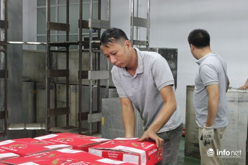 Cận cảnh chiếu xạ vải thiều Thanh Hà xuất đi Úc cực nghiêm ngặt - ảnh 5