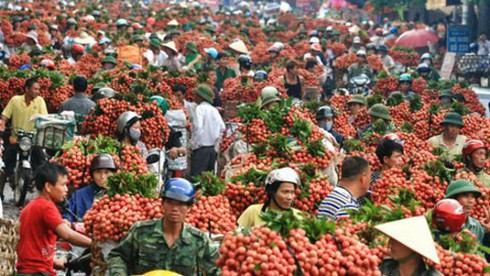 Bộ Nông nghiệp thành lập Cục mới để thúc đẩy tiêu thụ nông sản - ảnh 1