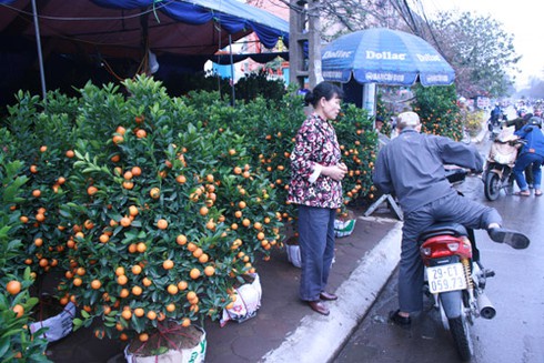 Hoa, cảnh vỉa hè vắng khách - ảnh 5