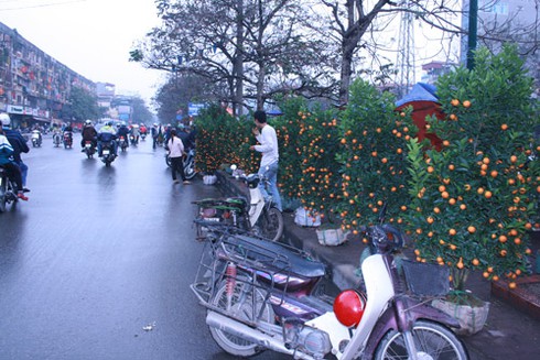 Hoa, cảnh vỉa hè vắng khách - ảnh 3