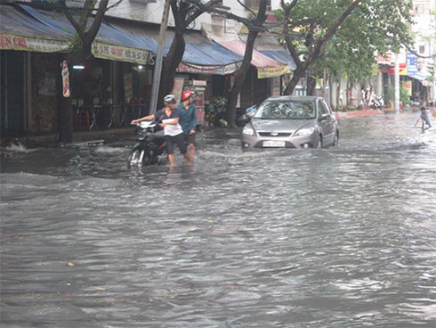 Lương “khủng” và con đỉa hai vòi - ảnh 1