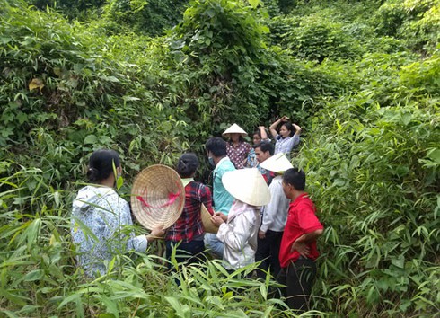 Vụ chôn thuốc sâu, cháy ở Hải Dương… chớ “hòa cả làng”! - ảnh 1