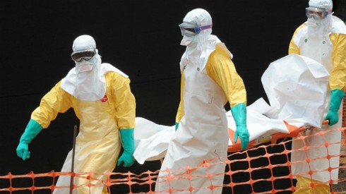 Thủ tướng gửi công điện khẩn yêu cầu phòng chống dịch bệnh Ebola - ảnh 1