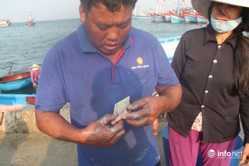 Du lịch Quảng Nam: Ngày mới tấp nập trên cầu cảng Lý Sơn - ảnh 10