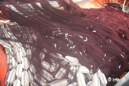 Du lịch Quảng Nam: Ngày mới tấp nập trên cầu cảng Lý Sơn - ảnh 4