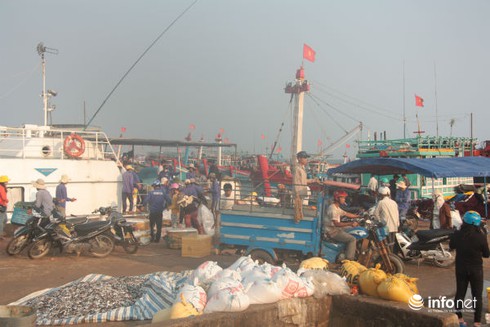 Du lịch Quảng Nam: Ngày mới tấp nập trên cầu cảng Lý Sơn - ảnh 1