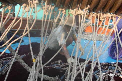 Du lịch Quảng Nam: Ngày mới tấp nập trên cầu cảng Lý Sơn - ảnh 3