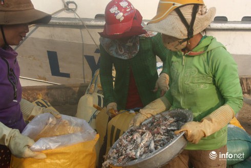 Du lịch Quảng Nam: Ngày mới tấp nập trên cầu cảng Lý Sơn - ảnh 7