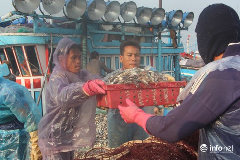 Du lịch Quảng Nam: Ngày mới tấp nập trên cầu cảng Lý Sơn - ảnh 5